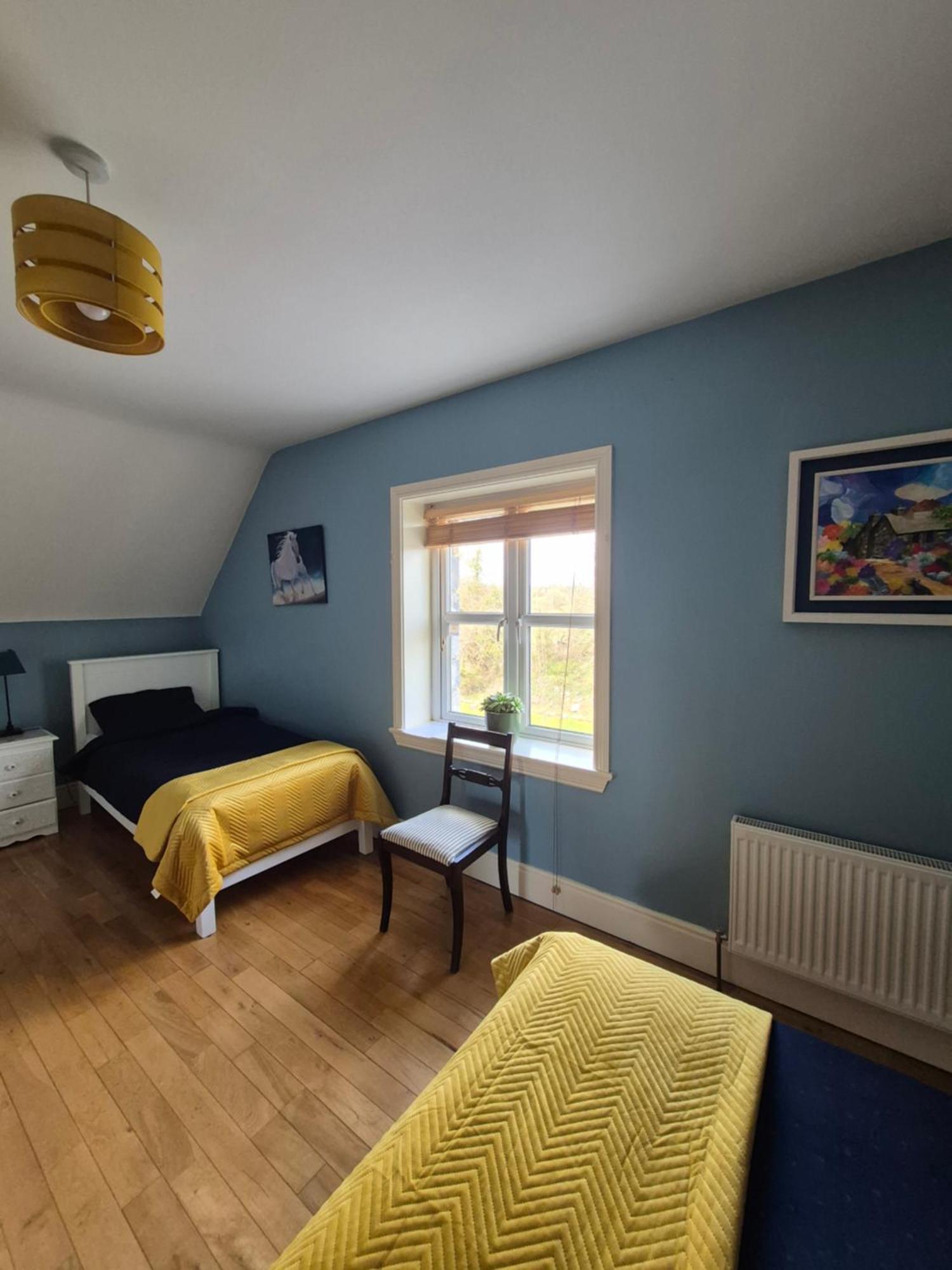Ballinasloe Guest House In The Heart Of The Country Екстер'єр фото