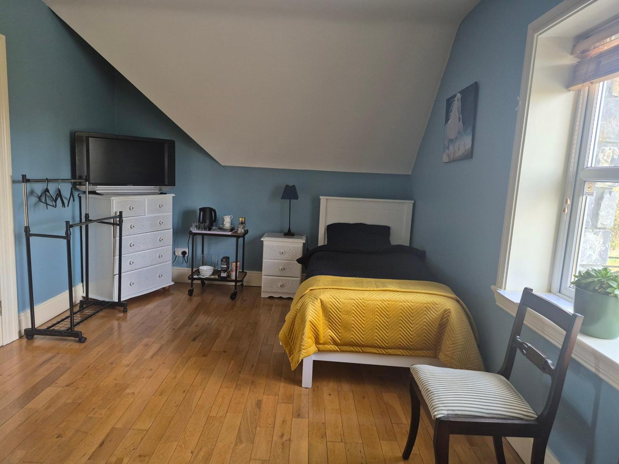 Ballinasloe Guest House In The Heart Of The Country Екстер'єр фото
